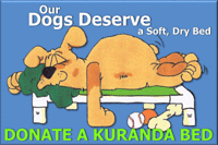 kuranda beds